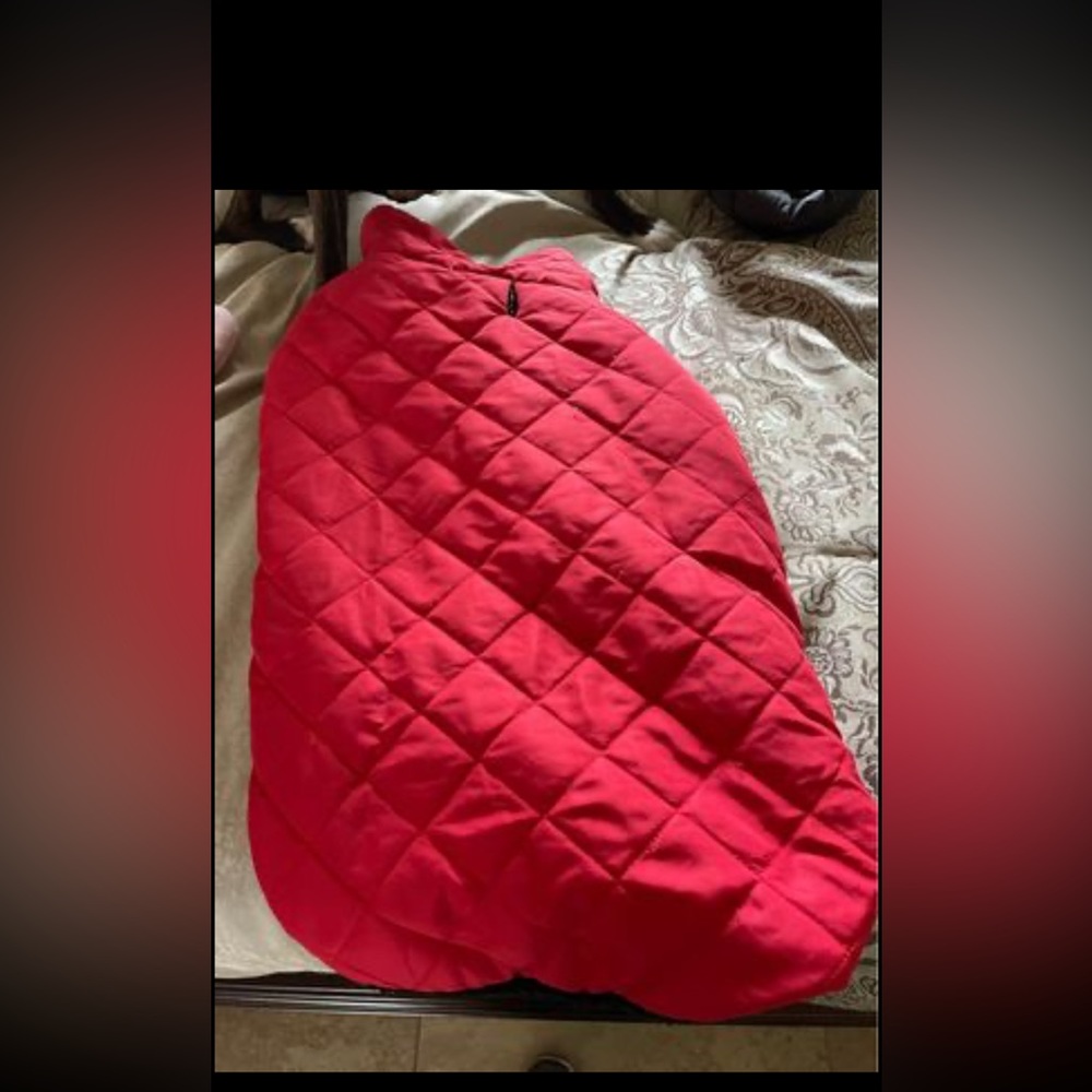 XL dog winter jacket